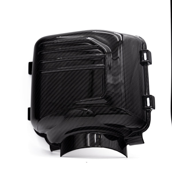 2024-2025 Ford Mustang S650 Carbon Fiber Intake Cover (Pair)